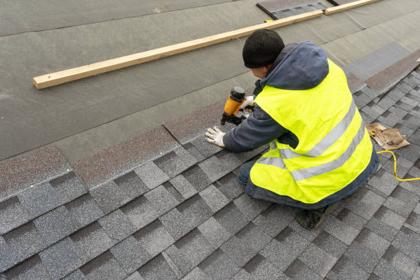 Best Roof Moss and Algae Removal  in Ridge Manor, FL