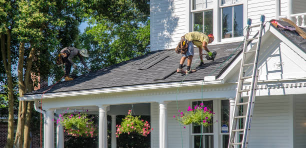 Steel Roofing in Ridge Manor, FL